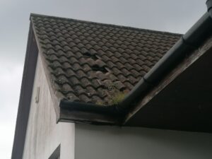 Emergency Roof Repair Holywood.